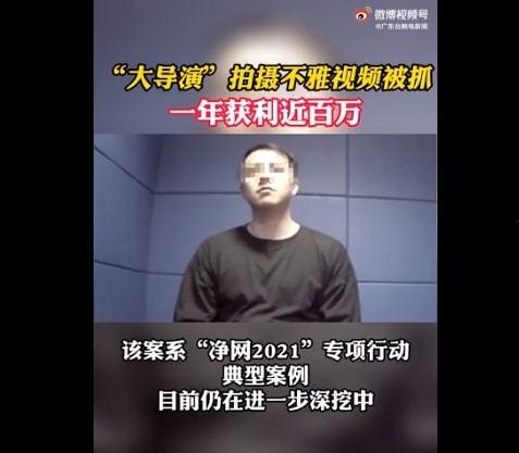 国产导演被抓视频,揭秘幕后的真相与反思