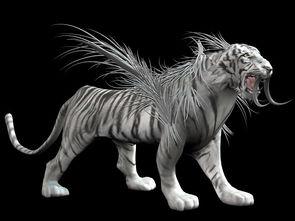 国产白虎推荐视频,探寻中华武术之魂的震撼之旅