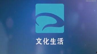 视频分类热国产,揭秘全球热门视频内容趋势