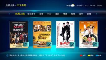 国产视频天天在线