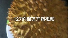 国产榴莲授粉视频在线播放